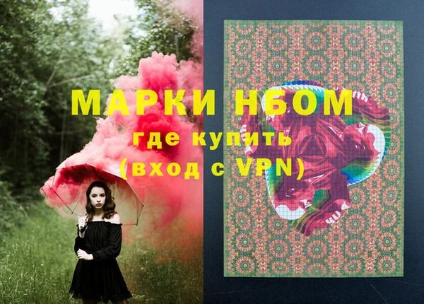 индика Алексин