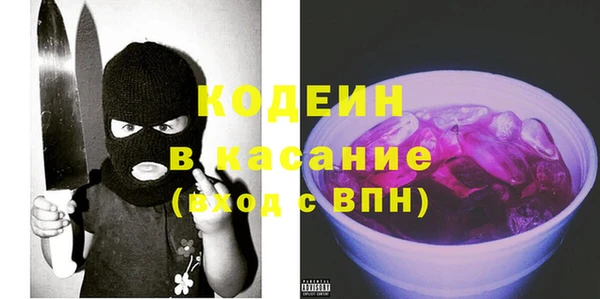 индика Алексин
