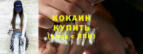 индика Алексин