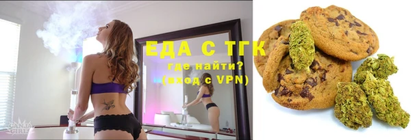 индика Алексин