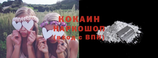 индика Алексин