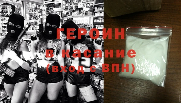 индика Алексин
