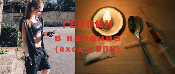 индика Алексин
