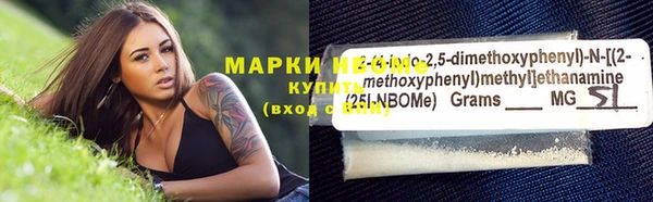 индика Алексин