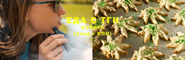 индика Алексин